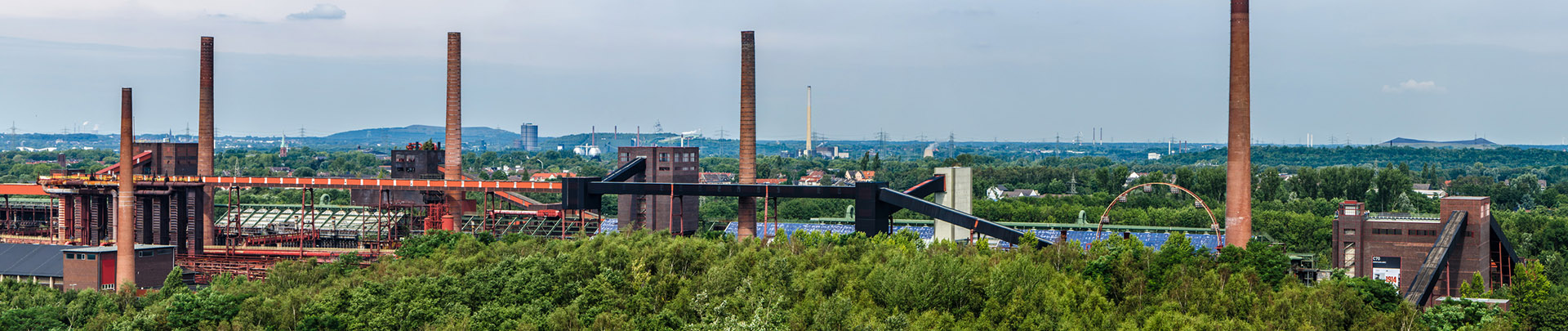 Rechtsanwalt Dr. Mogk